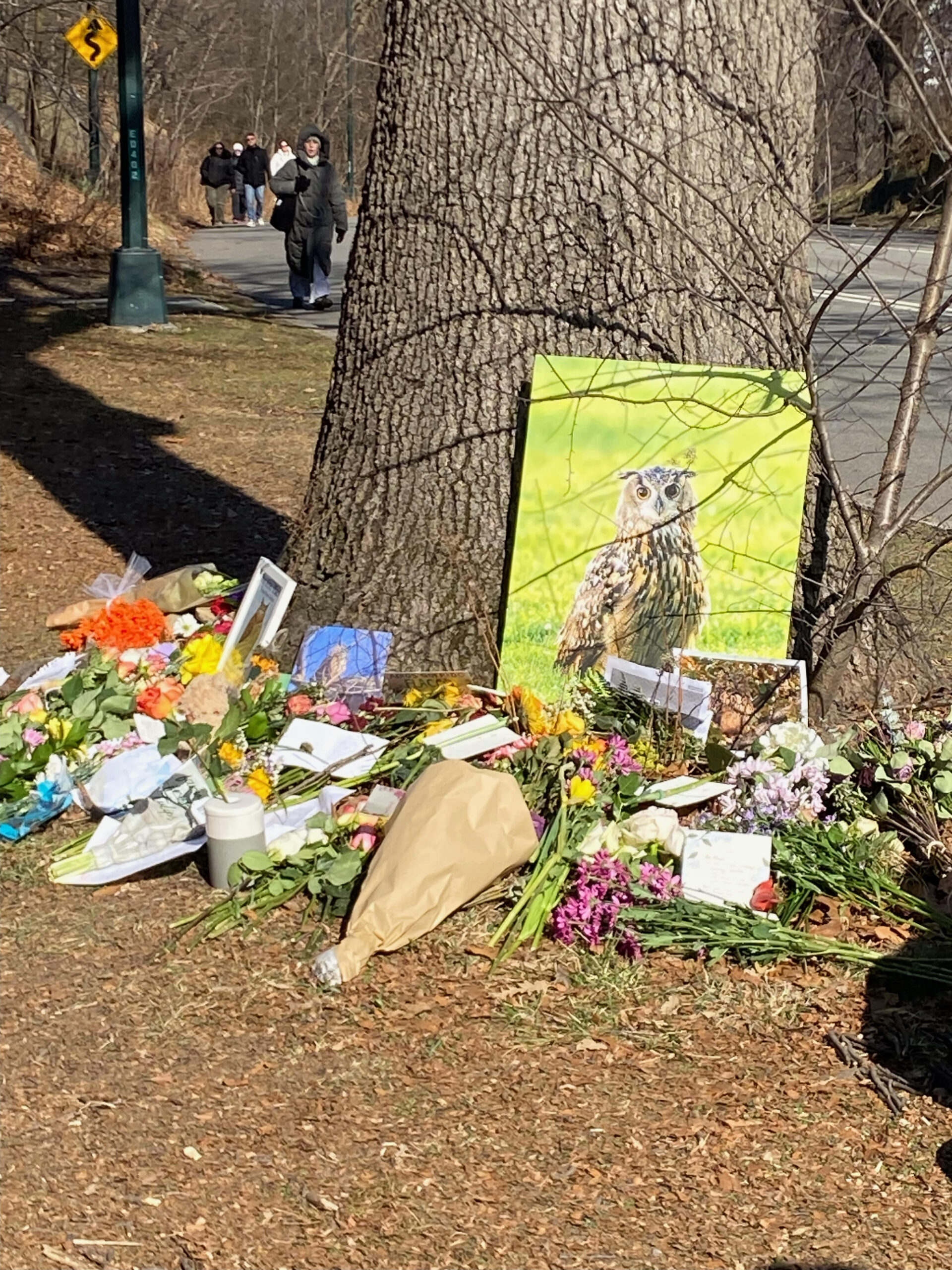 Flaco Memorial in Central Park, February 2023